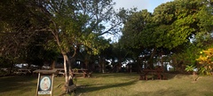 Marujos Bar