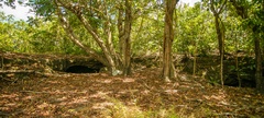 Aldeia São Francisco