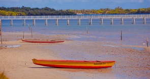 Forte Velho