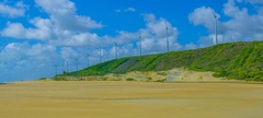 Reserva Florestal Particular da Empresa Mineradora Cristal Global