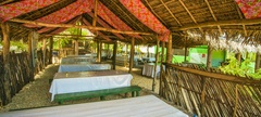 Bar do Tingo
